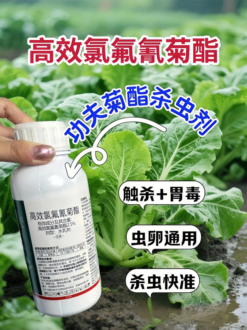 哈尔滨代生中心:农药对供卵代生妈妈的危害